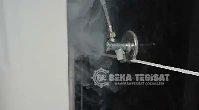 Koku Tespiti Koku Tespiti